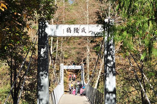 tn_dsc986.JPG