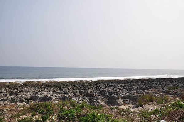 tn_DSC_4839.JPG tn_DSC_4839.JPG