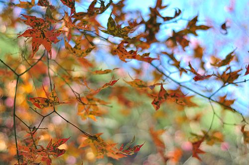 tn_dsc857.JPG