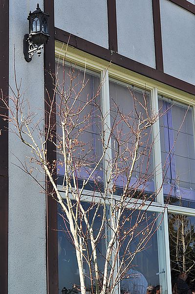 tn_DSC_4409.JPG tn_DSC_4409.JPG