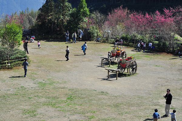 tn_DSC_4422.JPG tn_DSC_4422.JPG