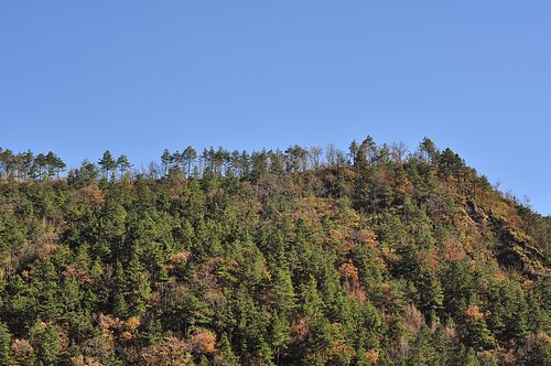 tn_dsc825.JPG