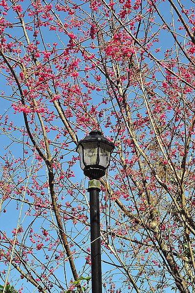 tn_DSC_4382.JPG tn_DSC_4382.JPG