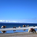 Tibet 1422_納木措 和 念青唐古喇山.JPG