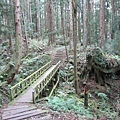 特富野古道 (1).jpg