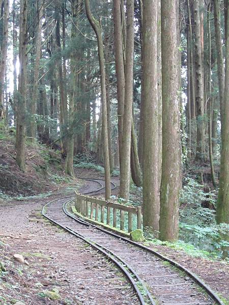 特富野古道 (2).jpg