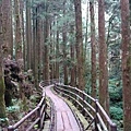 特富野古道 (5).jpg