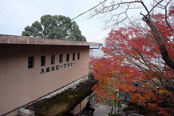 D150852B-8D6C-4D7D-8BFE-4CE2D8565772-31036-00000667E0E4D766