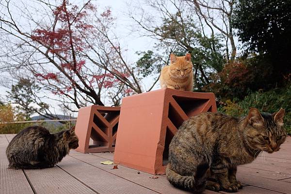 FE3989BF-5D47-4B57-A362-CADA228194F1-31036-00000667B554FEFA