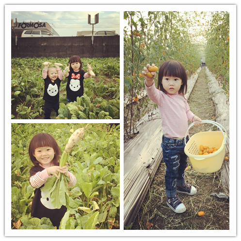 IMG_8901_副本_副本