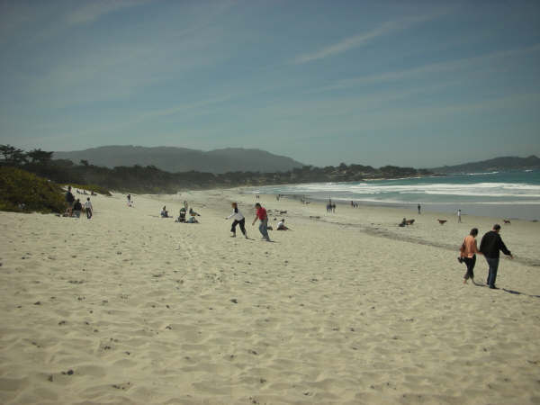 這裡的沙灘很廣,很長..很多人來散步玩狗