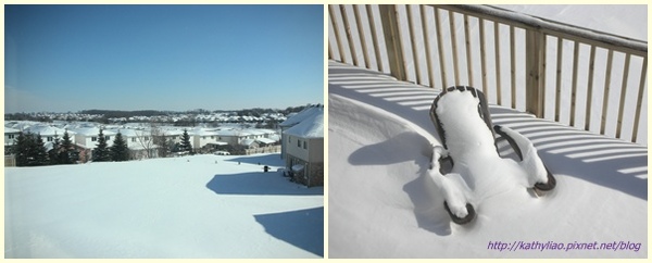 snow view of back yard.jpg