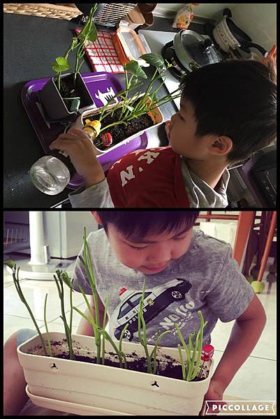 IMG_5693.JPG IMG_5693.JPG