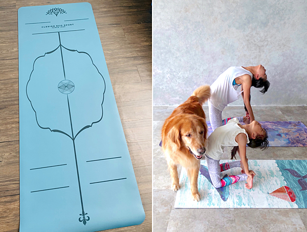 螢幕快照 2019-03-18 上午12.03.13.png 螢幕快照 2019-03-18 上午12.03.13.png