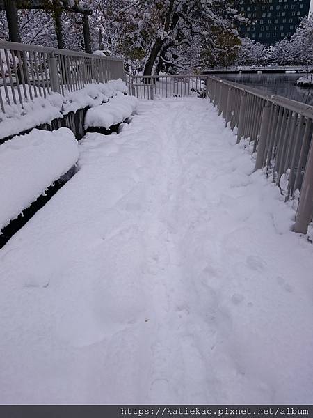 迷妹首訪札幌--中島公園駅 中島公園 ▷ 中島公園站 中島公