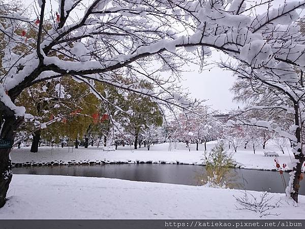 迷妹首訪札幌--中島公園駅 中島公園 ▷ 中島公園站 中島公