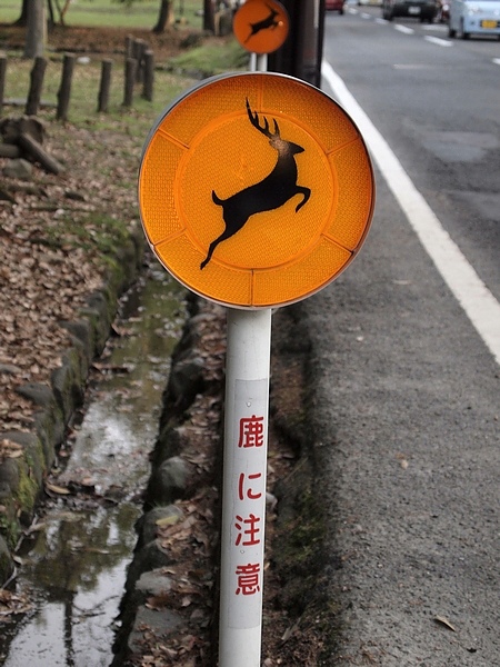 小心~鹿飛出!!