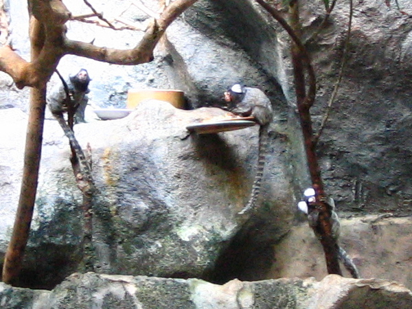 水族企鵝館