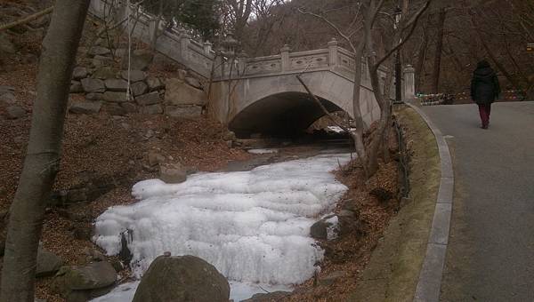 kato3c-korea-20180217_119.jpg