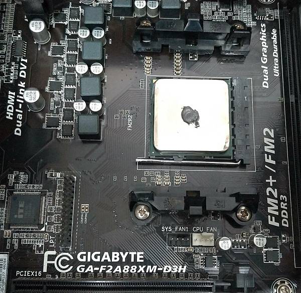 /tmp/phpgf3f3O /tmp/phpgf3f3O