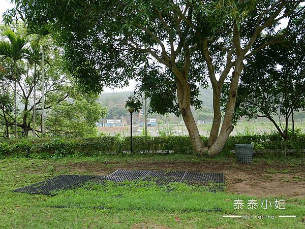 【苗栗露營區】第19露・頭屋粉漾露營區｜明德水庫旁的小清新親