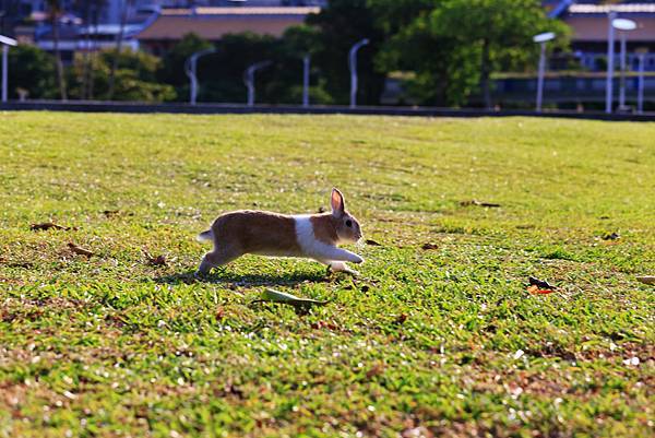 A_MG_2571.JPG