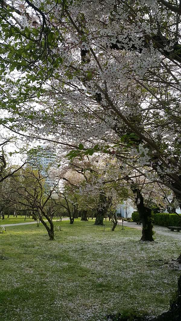 東京茨城筑波山足利日立威航 旅遊就是人生縮影 轉角會遇到什麼 繼續看下去 痞客邦