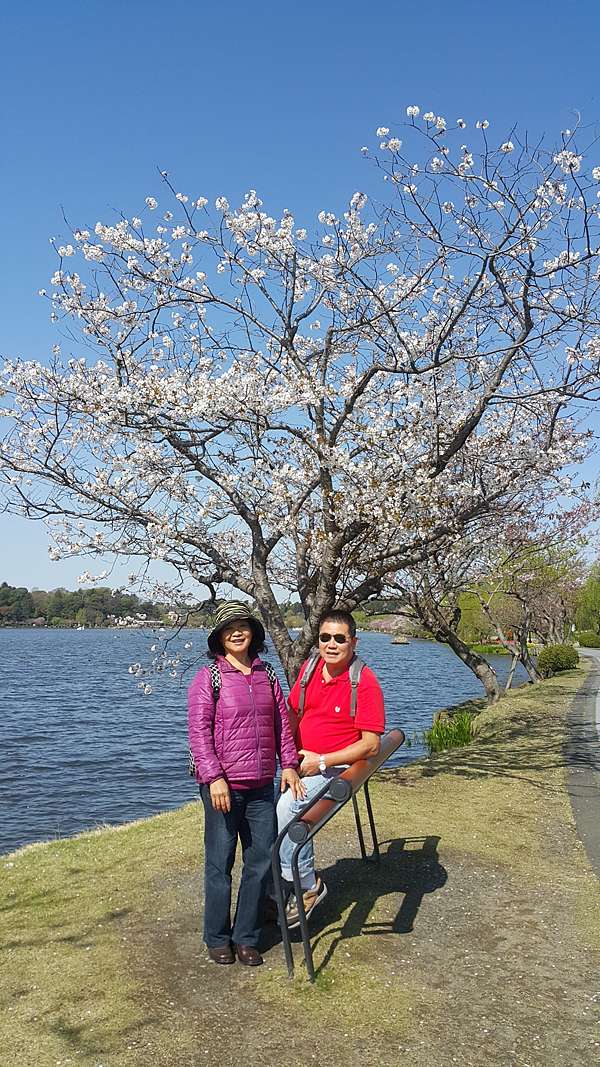 東京茨城筑波山足利日立威航 旅遊就是人生縮影 轉角會遇到什麼 繼續看下去 痞客邦