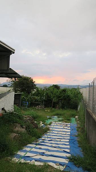 170805-可尼小屋 (25).JPG