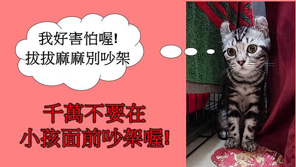 咪咪害怕.jpg 咪咪害怕.jpg