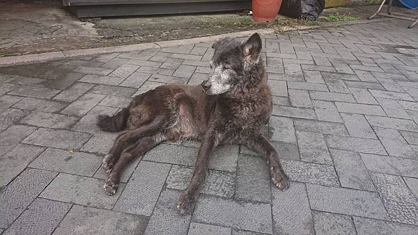 金夫人生活食坊 (4).JPG