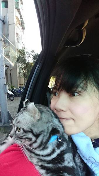 181130-咪咪 (9).JPG