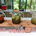 20200901-頭份怡明茶園 (63).JPG