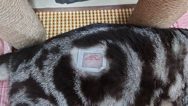 2021-09-09 (14).JPG 2021-09-09 (14).JPG