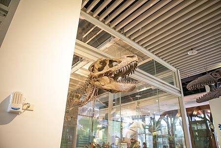 20141123-_MG_1916.jpg 20141123-_MG_1916.jpg