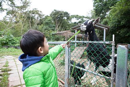 20141115-_MG_1813.jpg 20141115-_MG_1813.jpg