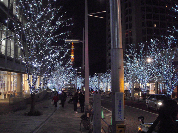 DSC02163.JPG