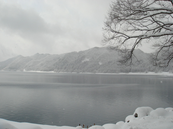 DSC02576.JPG DSC02576.JPG