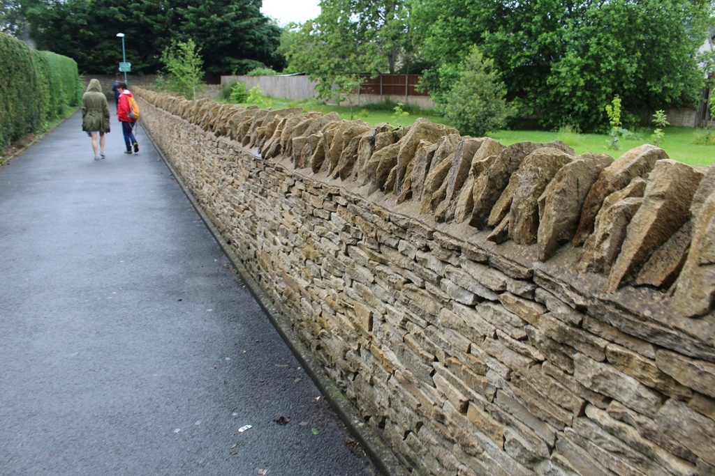 IMG_3008.JPG IMG_3008.JPG