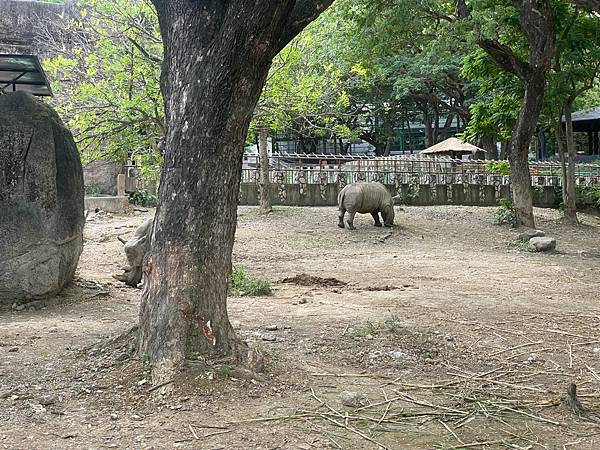 2023年暑假南部六日遊day2~初訪壽山動物園，第一次跟獼