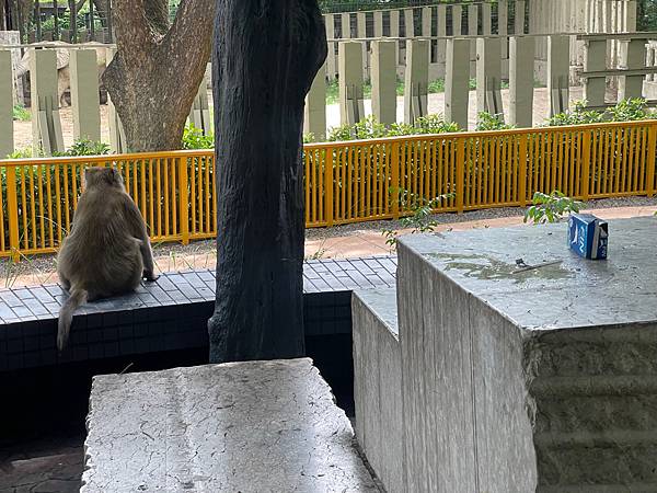 2023年暑假南部六日遊day2~初訪壽山動物園，第一次跟獼