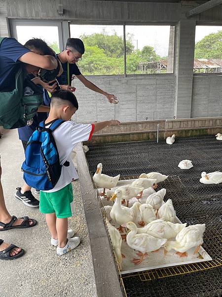 暑假宜蘭二日遊DAY2~超讚的親子景點 ~甲鳥園（複合式養鴨