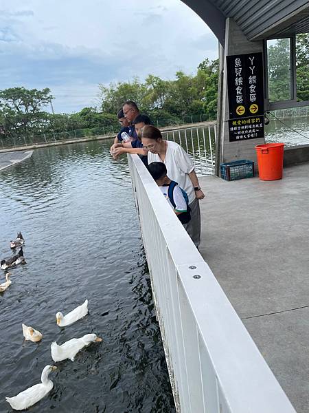 暑假宜蘭二日遊DAY2~超讚的親子景點 ~甲鳥園（複合式養鴨