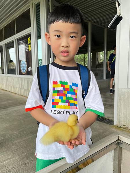 暑假宜蘭二日遊DAY2~超讚的親子景點 ~甲鳥園（複合式養鴨