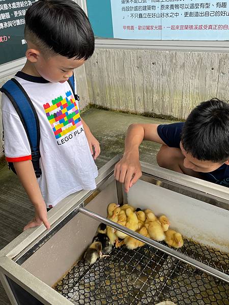 暑假宜蘭二日遊DAY2~超讚的親子景點 ~甲鳥園（複合式養鴨