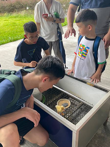 暑假宜蘭二日遊DAY2~超讚的親子景點 ~甲鳥園（複合式養鴨