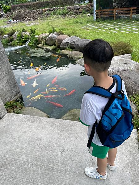 暑假宜蘭二日遊DAY2~超讚的親子景點 ~甲鳥園（複合式養鴨