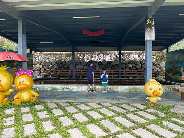 暑假宜蘭二日遊DAY2~超讚的親子景點 ~甲鳥園（複合式養鴨