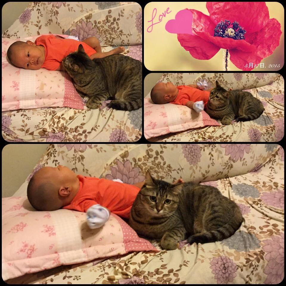 undefined undefined
