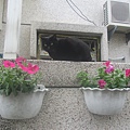 IMG_8620.JPG